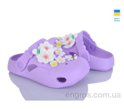 Кроксы Golden Lion